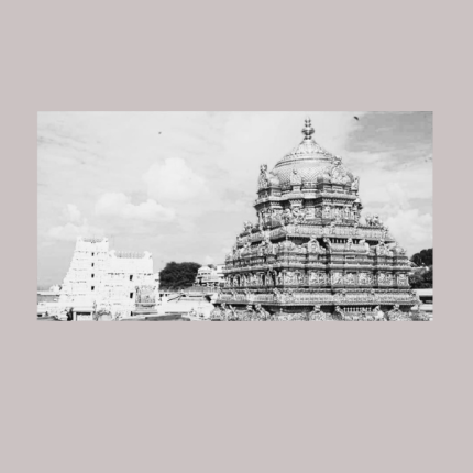 Andhra Pradesh MSME Companies & Business