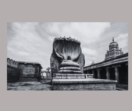 Andhra Prasdesh New Registered Companies Email List